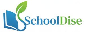 SchoolDise customer review